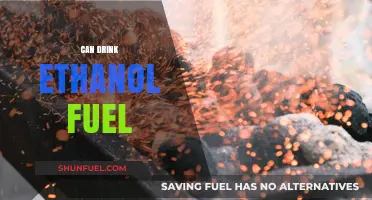 Exploring the Safety and Feasibility of Drinking Ethanol Fuel