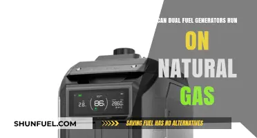 Dual Fuel Generators: Natural Gas Compatibility and Benefits Explained