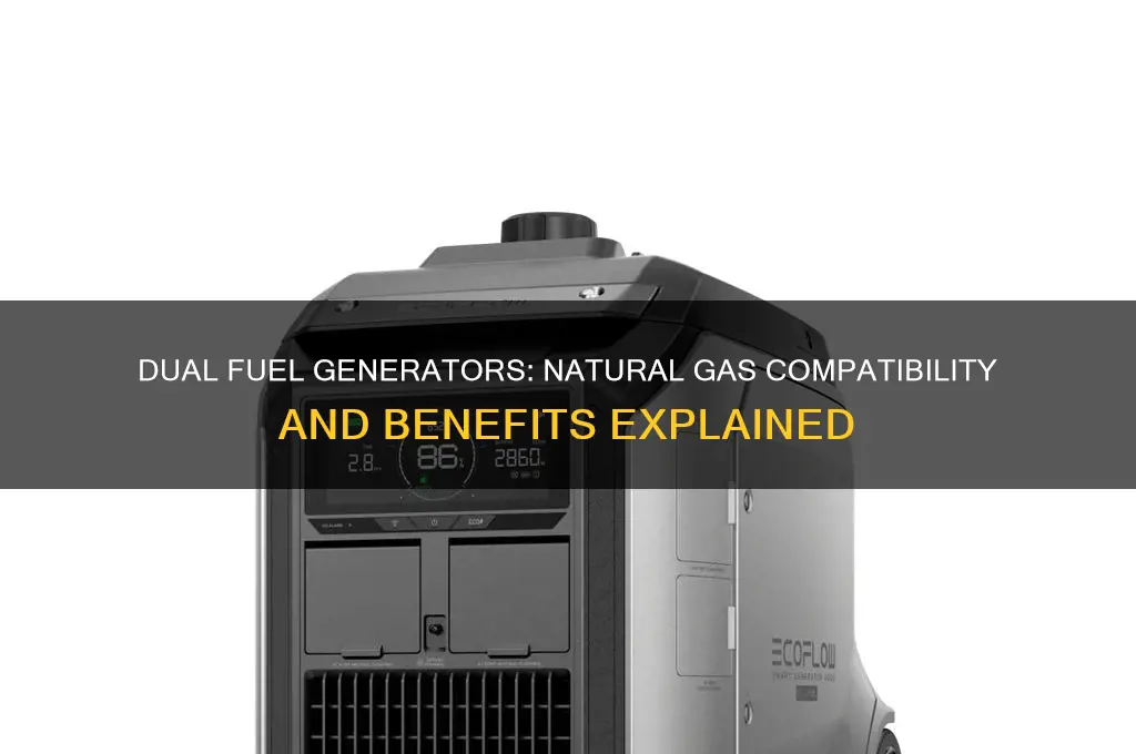 can dual fuel generators run on natural gas