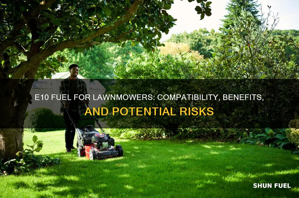 can e10 fuel be used in lawnmowers
