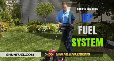 E15 Gasoline: Potential Risks to Your Vehicle's Fuel System Explained