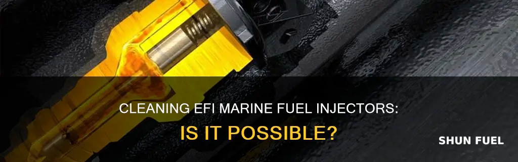 can efi marine fuel injectors be cleaned