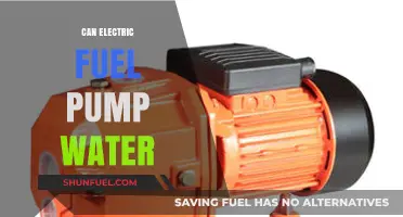 Can Electric Fuel Pumps Efficiently Handle Water Transfer Tasks?