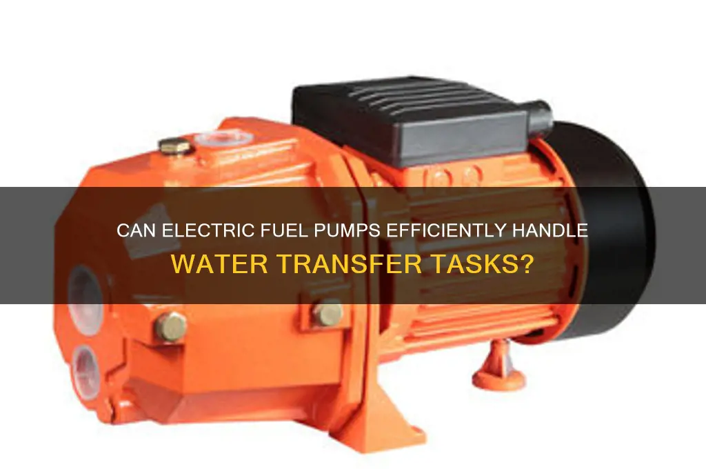 can electric fuel pump water
