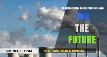 Preserving Fossil Fuel Energy for Future Generations
