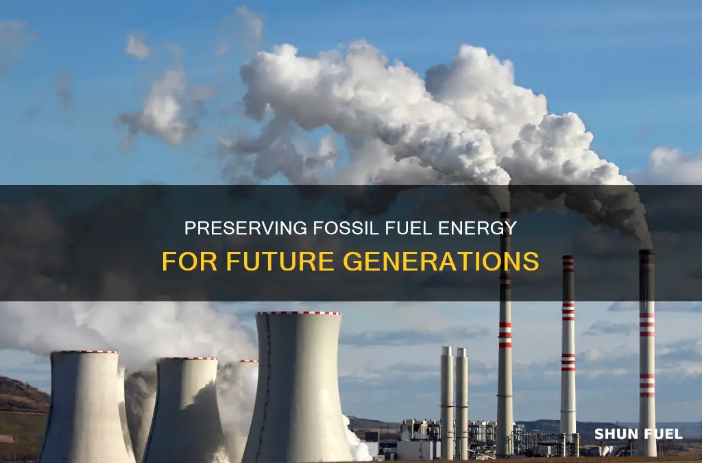 can energy from fossil fuels be saved for the future