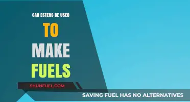 Exploring Esters: A Sustainable Alternative for Fuel Production?