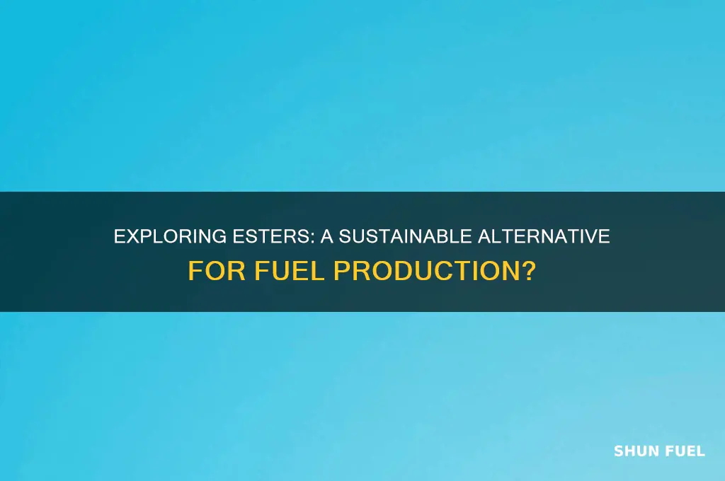 can esters be used to make fuels