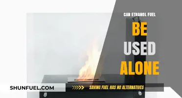 Ethanol Fuel: Can It Stand Alone as a Viable Energy Source?