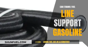 Ethanol Fuel Line: Can It Support Gasoline?