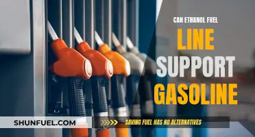 Ethanol Fuel Lines: Compatible with Gasoline?