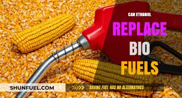 Ethanol's Potential: A Renewable Fuel Alternative to Biofuels?