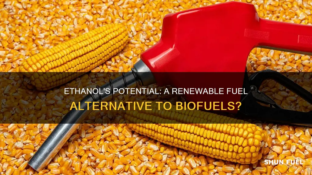 can ethanol replace bio fuels