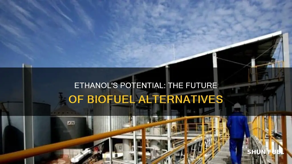 can ethanol replace bio fuels