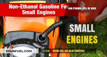 Ethanol Fuel in Small Engines: Compatibility, Benefits, and Limitations