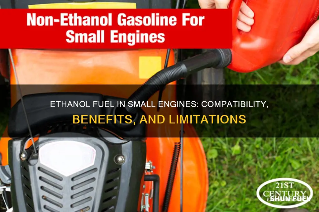 can ethenol fuel be used in small engines