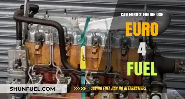 Euro 2 Engines and Euro 4 Fuel Compatibility: What You Need to Know