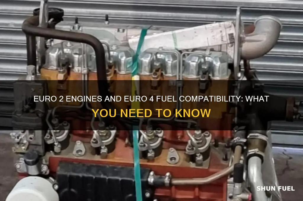 can euro 2 engine use euro 4 fuel