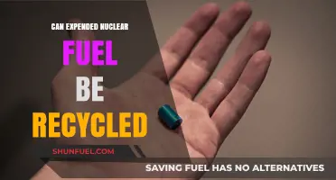 Recycling Expended Nuclear Fuel: Opportunities, Challenges, and Future Prospects