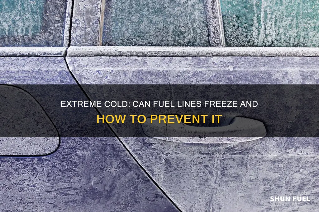 can extreme cold freeze fuel lines