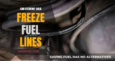 Fuel Lines and Extreme Cold: What You Need to Know