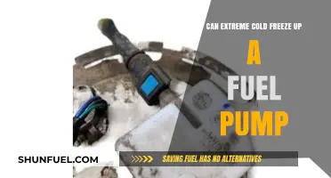 Can Extreme Cold Freeze Up a Fuel Pump? The Truth