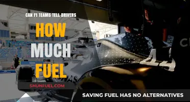 F1 Strategies: Fuel Talk with Drivers