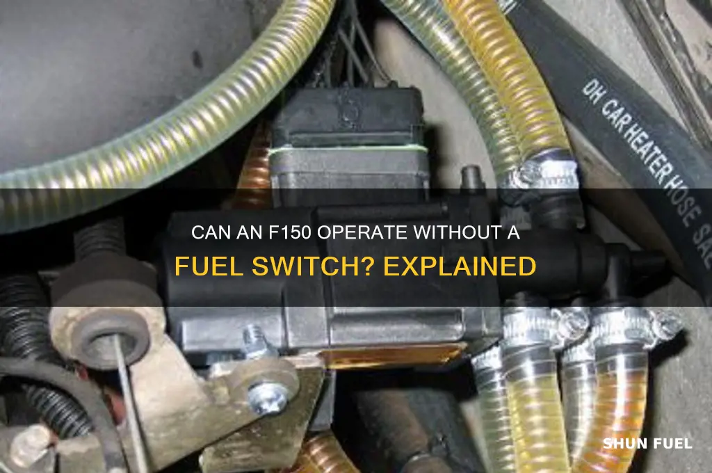 can f150 work without a fuel switch