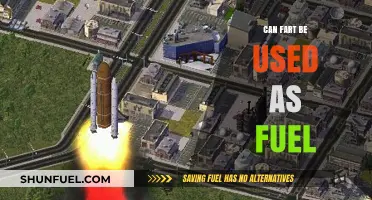Exploring the Potential of Flatulence as an Alternative Energy Source