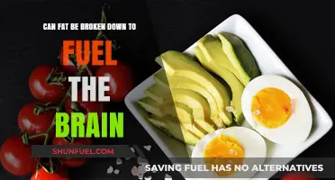 Can Fat Fuel the Brain? Unlocking the Power of Ketones