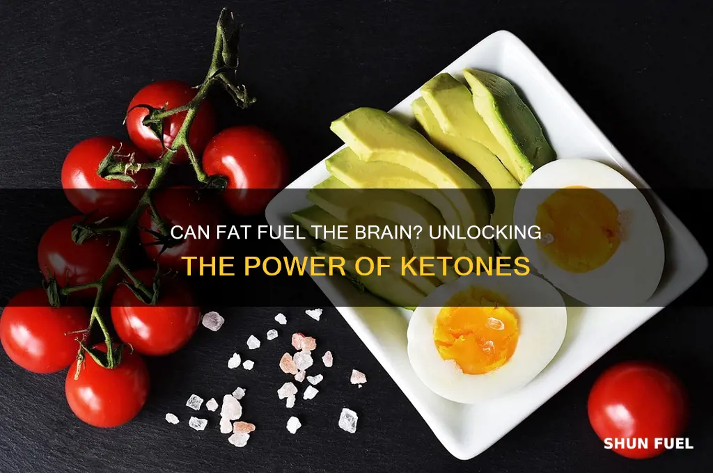 can fat be broken down to fuel the brain