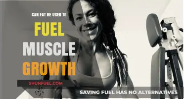 Can Body Fat Fuel Muscle Growth? Science Explains the Connection