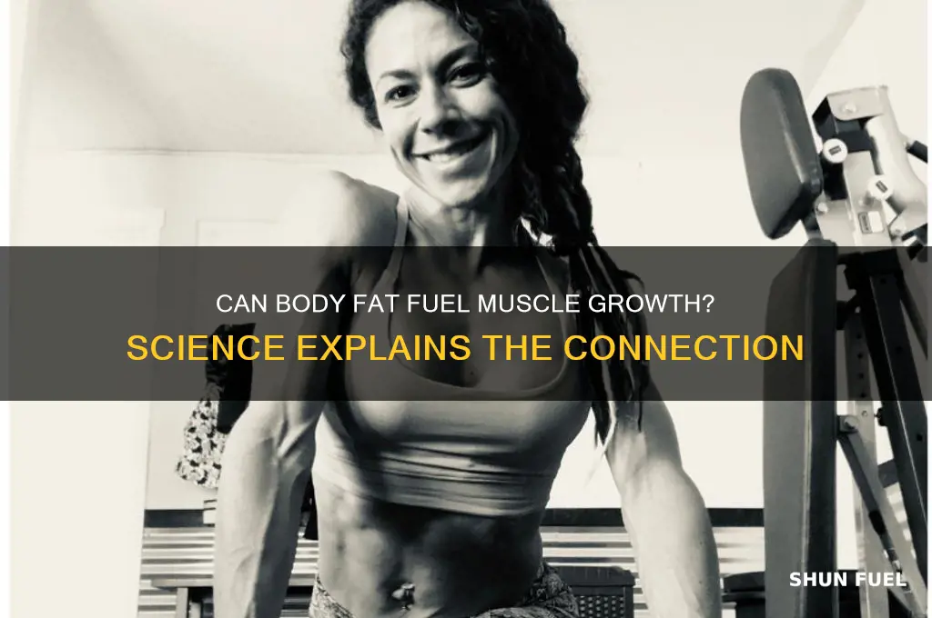 can fat be used to fuel muscle growth