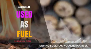 Turning Waste into Energy: Exploring Feces as a Sustainable Fuel Source