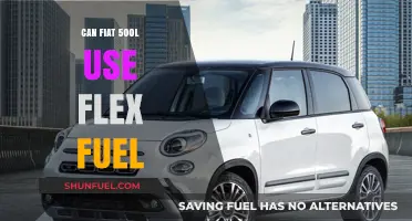 Can the Fiat 500L Run on Flex Fuel? Find Out