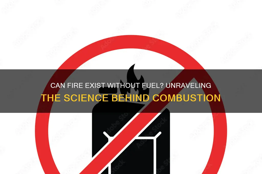 can fire burn without fuel