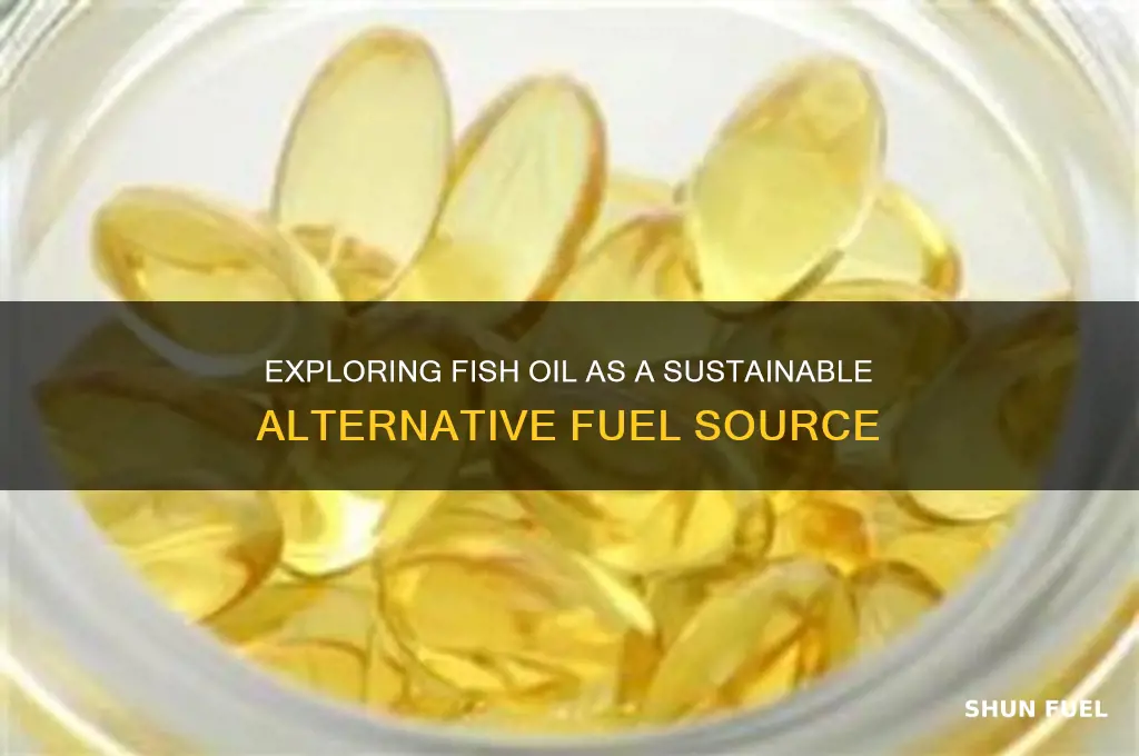 can fish oil be used for fuel