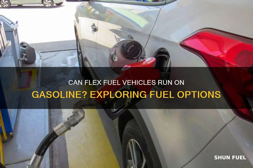 can flex fuel cars run on gasoline