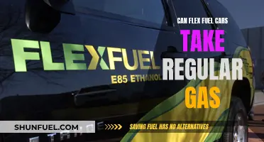 Flex Fuel Cars: Can They Run on Regular Gas?