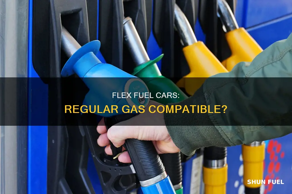 can flex fuel cars take regular gas