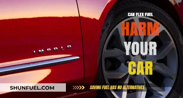Flex Fuel: Potential Risks and Effects on Your Vehicle's Performance