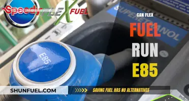 Can Flex Fuel Vehicles Safely and Efficiently Run on E85?