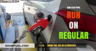 Can Flex Fuel Vehicles Run on Regular Gasoline? Facts Revealed