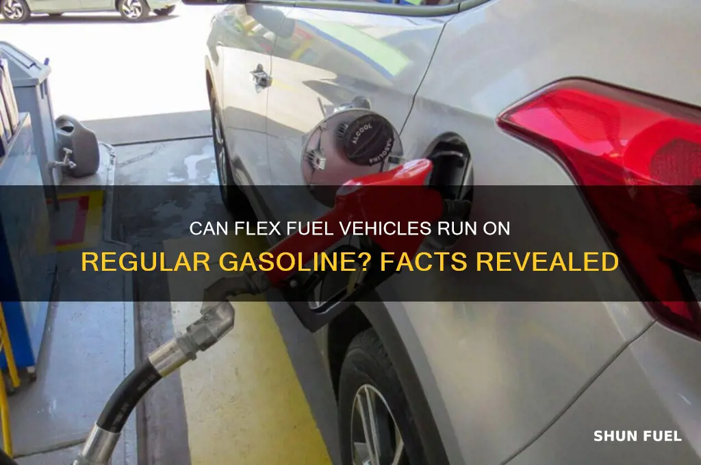 can flex fuel run on regular