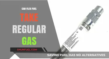 Can Flex Fuel Vehicles Run on Regular Gas? Here's What to Know