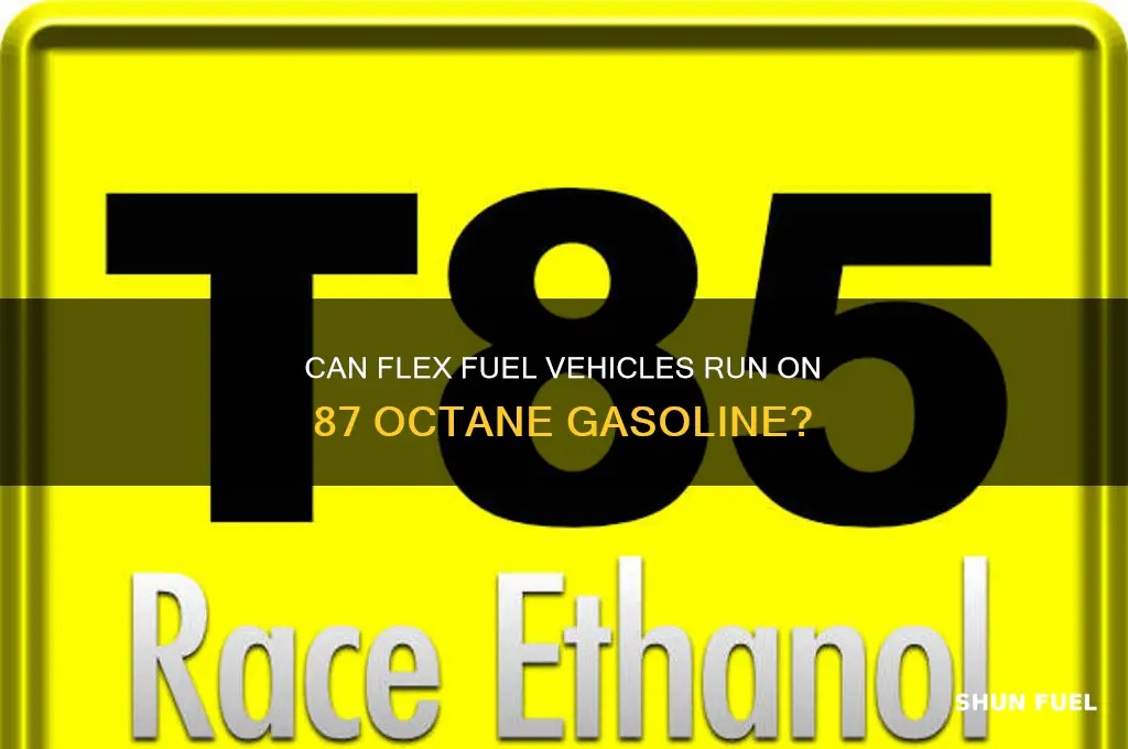 can flex fuel use 87