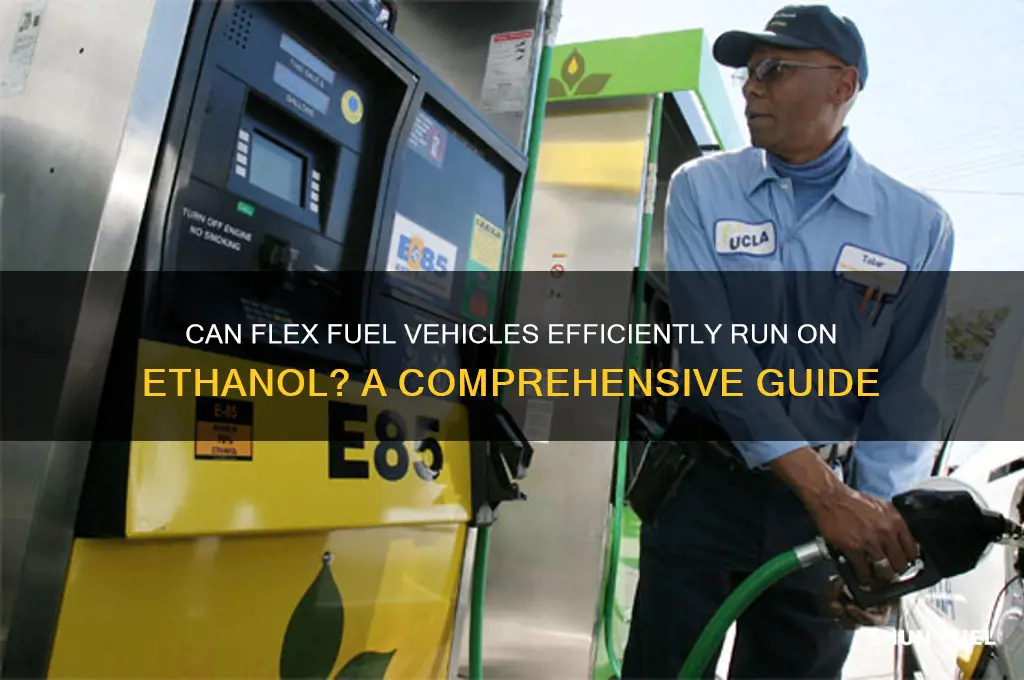 can flex fuel use ethanol