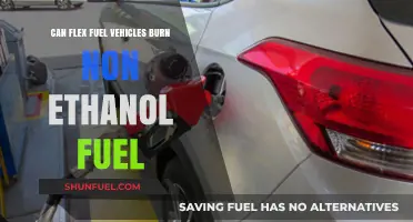 Flex Fuel Vehicles: Can They Run on Non-Ethanol Gasoline?