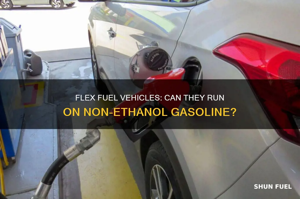 can flex fuel vehicles burn non ethanol fuel