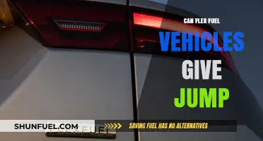 Can Flex Fuel Vehicles Jump-Start Your Eco-Friendly Driving Experience?